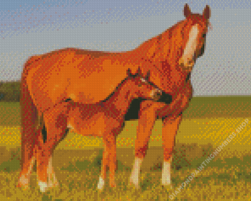 Brown Horse And Colt Diamond Painting