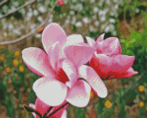 Chinese Magnolia Flower Diamond Painting