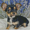 Chorkie Puppy Dog Diamond Painting