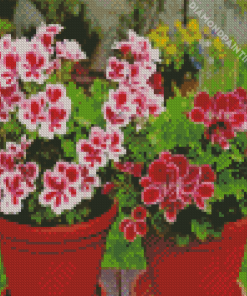 Geraniums Flowering Plants In Pots Diamond Painting