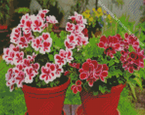 Geraniums Flowering Plants In Pots Diamond Painting