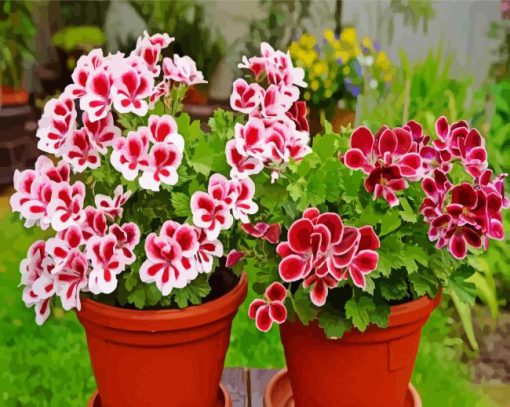 Geraniums Flowering Plants In Pots Diamond Painting