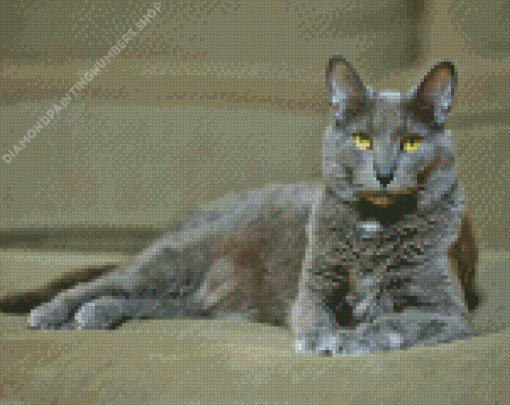 Grey Kitty Diamond Painting