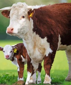 Hereford Cow Diamond Painting