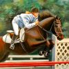 Horse Jumping Diamond Painting