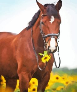 Horse In Sunflower Field Diamond Painting