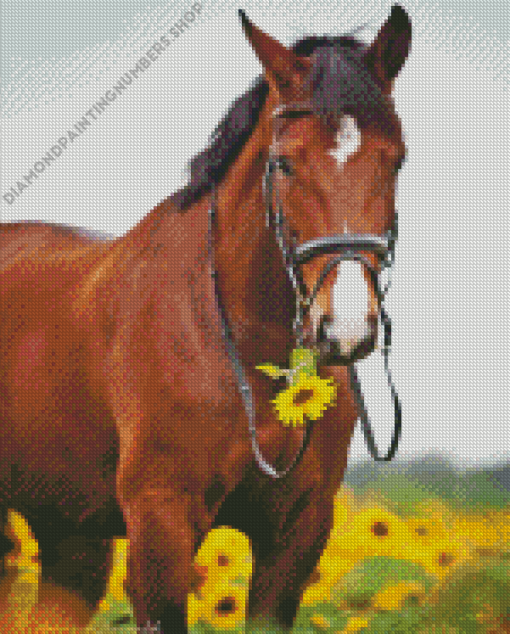 Horse In Sunflower Field Diamond Painting