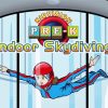 Indoor Skydiving Cartoon Diamond Painting