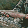 Man Holding Steelhead Fish Diamond Painting