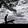 Man And Dog Silhouette Diamond Painting