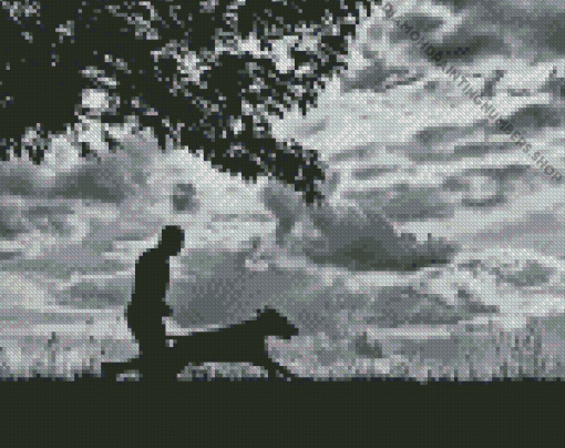 Man And Dog Silhouette Diamond Painting