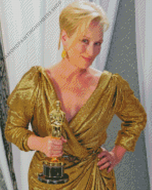 Meryl Streep Oscar Diamond Painting