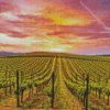 Napa California Diamond Painting