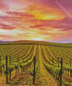 Napa California Diamond Painting