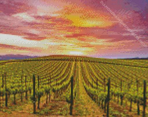 Napa California Diamond Painting