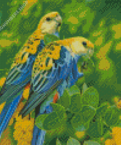 Pale Headed Rosella Birds Diamond Painting