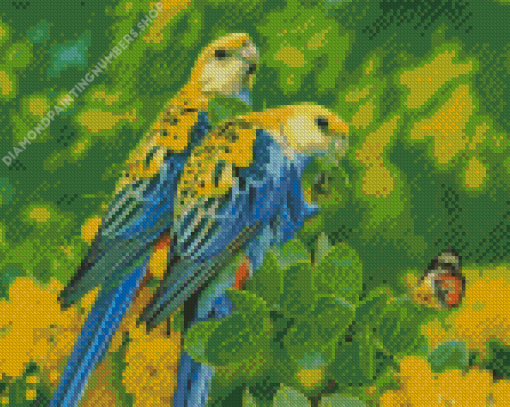 Pale Headed Rosella Birds Diamond Painting