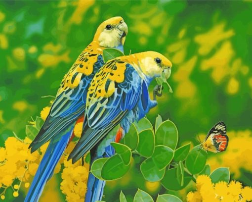 Pale Headed Rosella Birds Diamond Painting