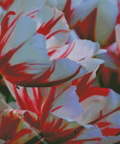 Parrot Tulips Diamond Painting