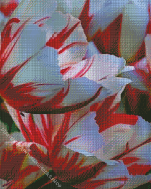 Parrot Tulips Diamond Painting