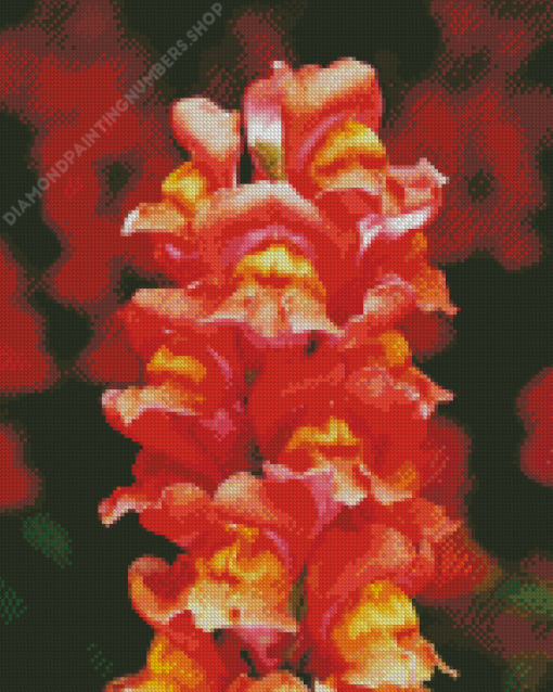 Peachy Snapdragons Diamond Painting