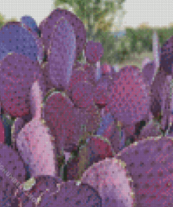 Purple Cactus Plant Diamond Painting