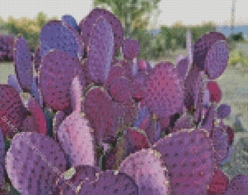 Purple Cactus Plant Diamond Painting