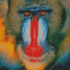 Red Nose Baboon Monkey Diamond Painting