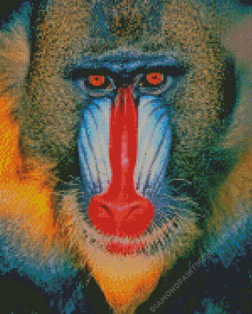 Red Nose Baboon Monkey Diamond Painting