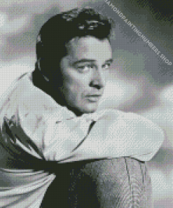 Richard Burton Diamond Painting