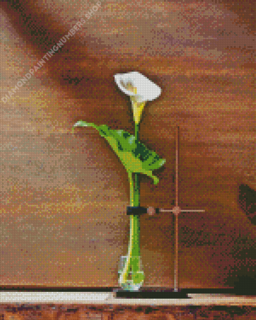 Single Calla Flower On Table Diamond Painting