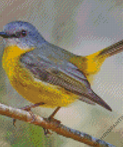 Songbird Diamond Painting