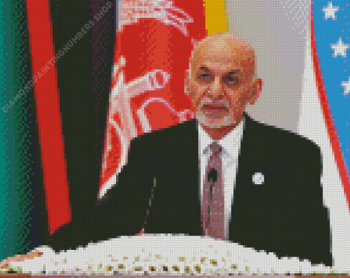 The President Ashraf Ghani Diamond Painting