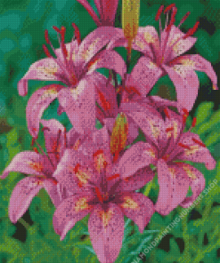 Tiger Pink Lilies Diamond Painting