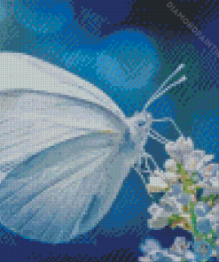 White Butterfly Insect Diamond Painting