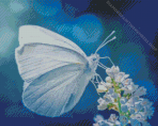 White Butterfly Insect Diamond Painting