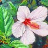 White Hibiscus Flower Diamond Painting