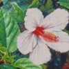 White Hibiscus Flower Diamond Painting