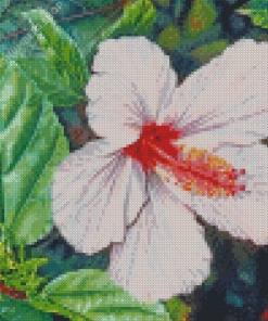 White Hibiscus Flower Diamond Painting