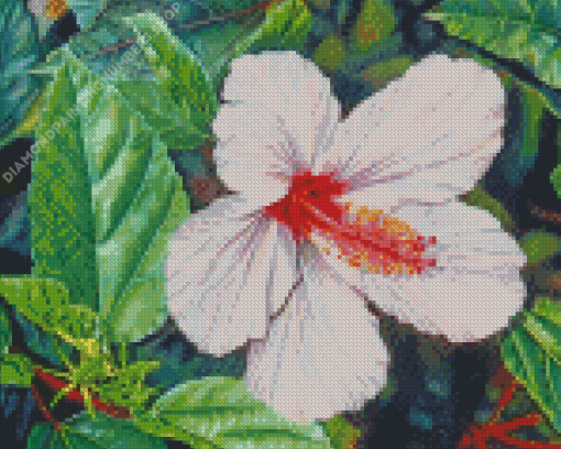 White Hibiscus Flower Diamond Painting