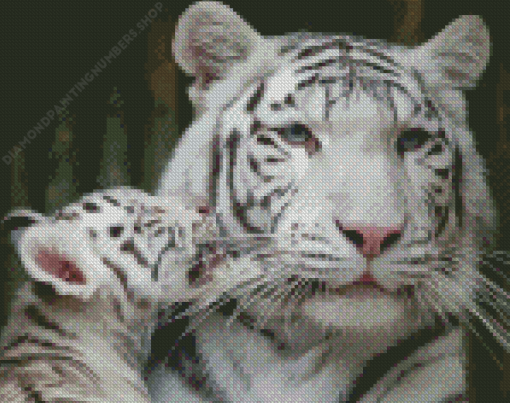 White Tiger And Cub Diamond Painting