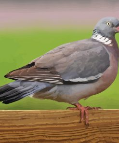 Wood Pigeon Diamond Painting