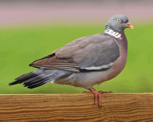 Wood Pigeon Diamond Painting