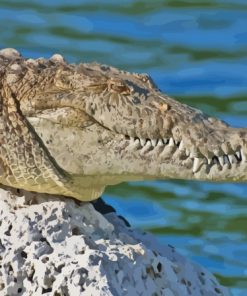 American Crocodile Reptile Diamond Painting