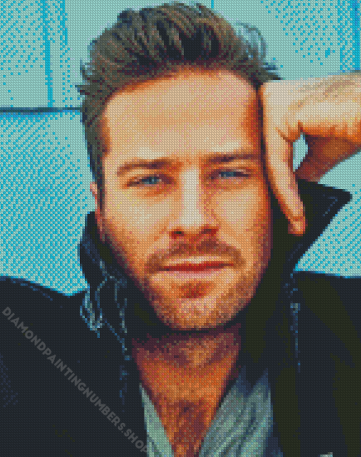 Armie Hammer Actor Diamond Painting