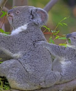 Baby Koala With His Mother Diamond Painting