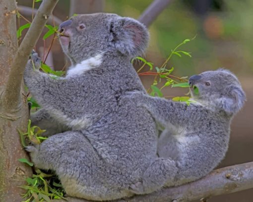 Baby Koala With His Mother Diamond Painting