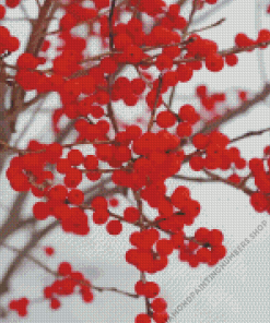 Berries In Winter Diamond Painting