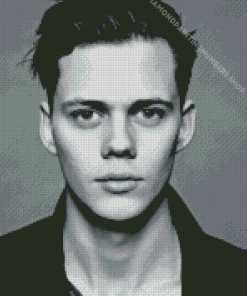 Black And White Bill Skarsgard Diamond Painting