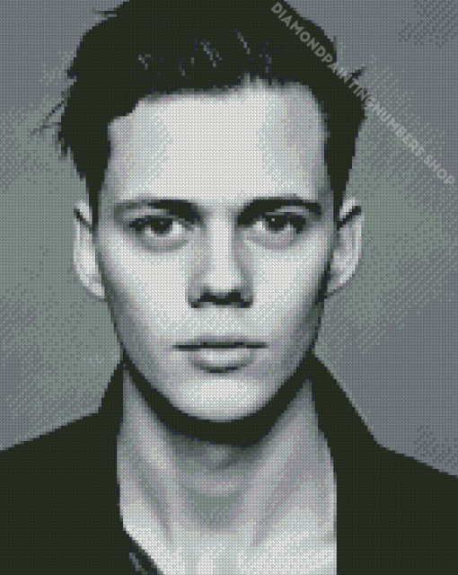 Black And White Bill Skarsgard Diamond Painting